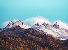 IM电竞平台——引领新时代电竞体验的首选平台